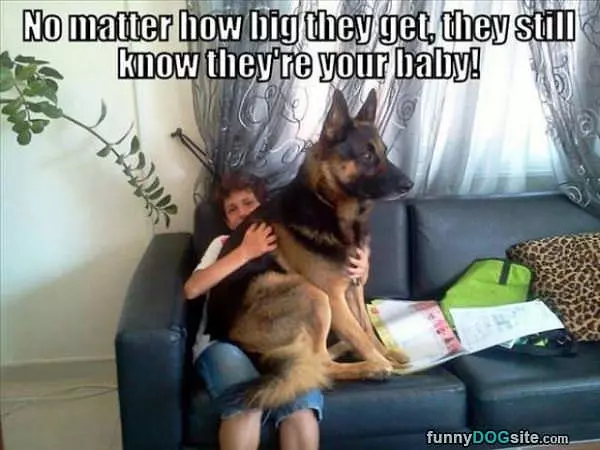No Matter How Big
