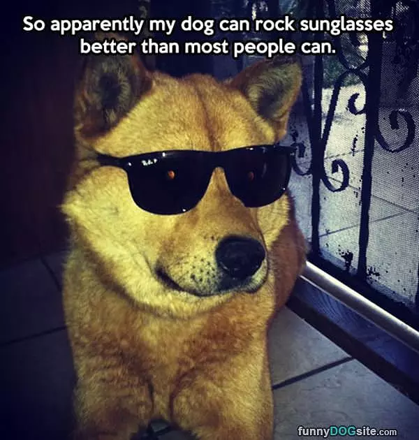 Sunglasses
