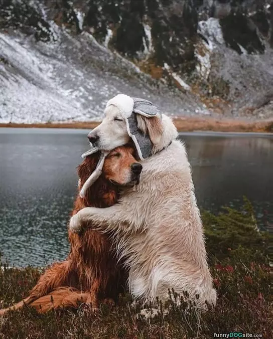Hug Me