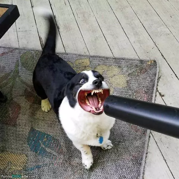 Give Me That Wind