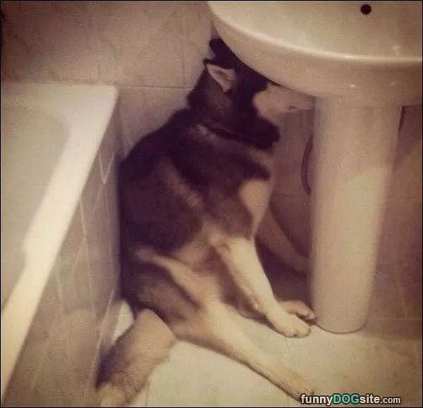 Hide And Seek