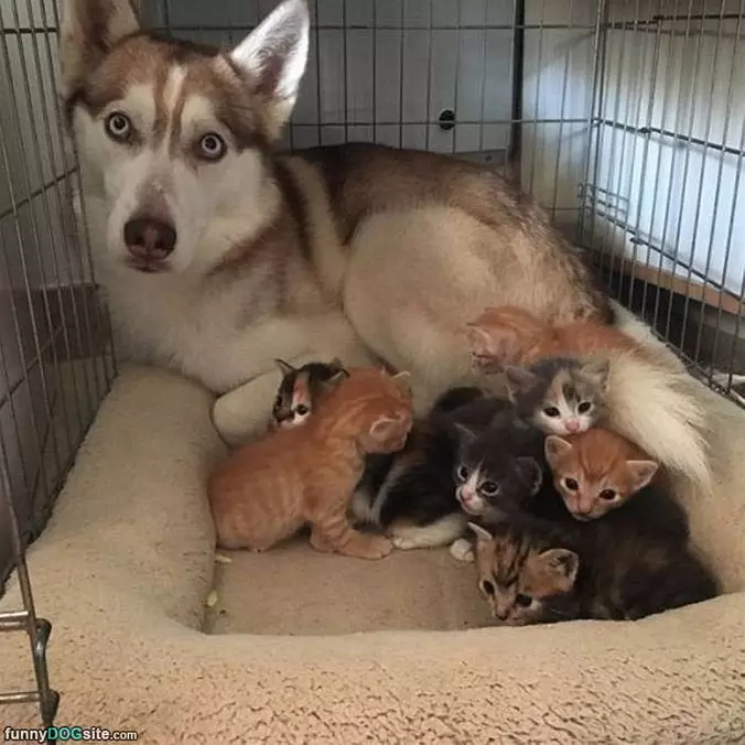 These Are Mine Now
