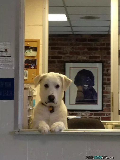 Can I Help You