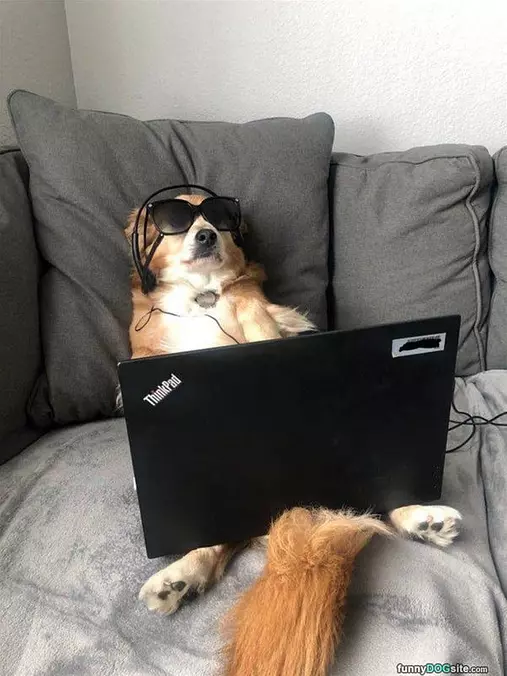 Watch The Laptop