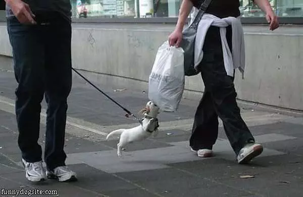 Gimme That Bag
