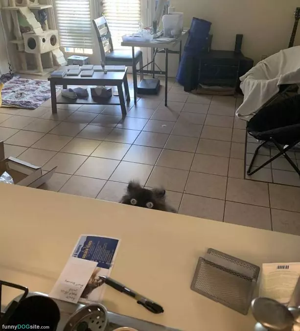What You Got There