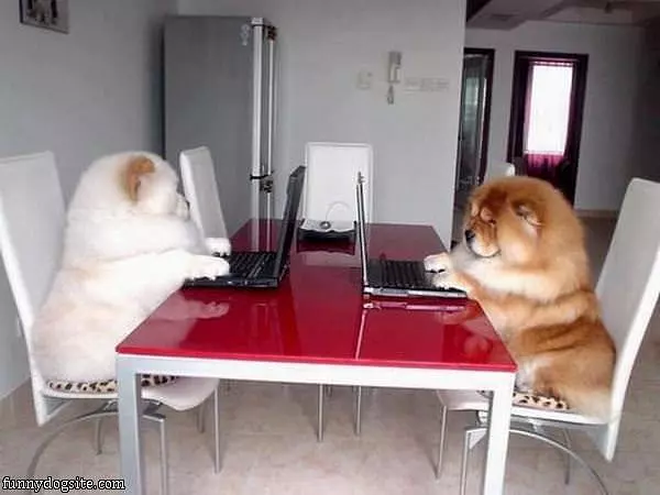 On The Internets