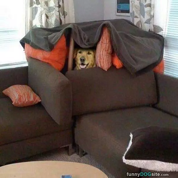 Dog Fort