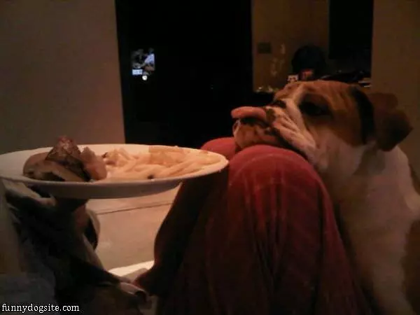 That Looks Delicious