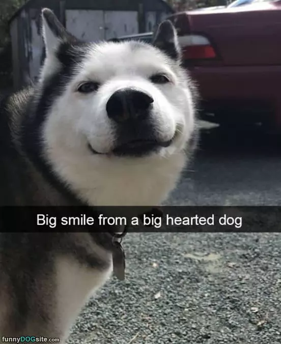 A Big Smile
