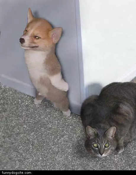 Hide And Seek