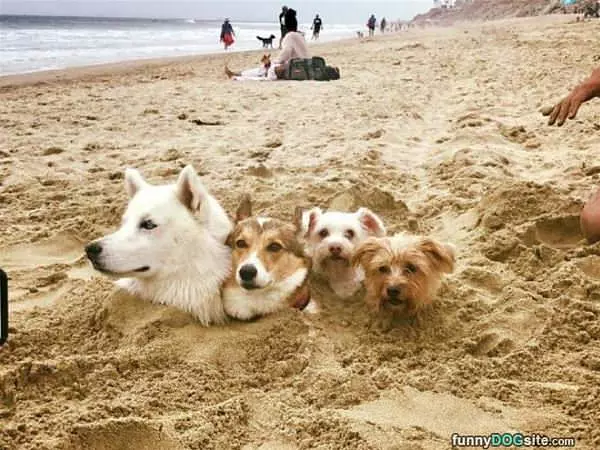 Buried In The Sand