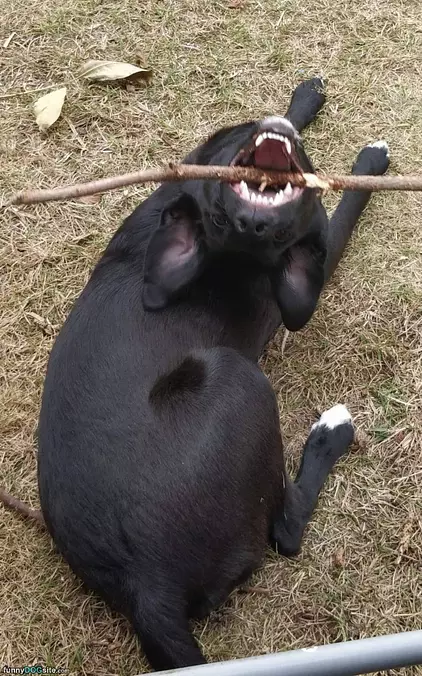 Having Fun