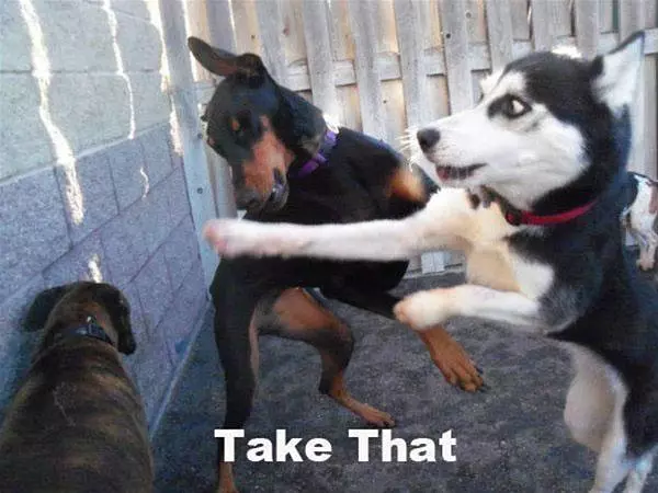 Take That