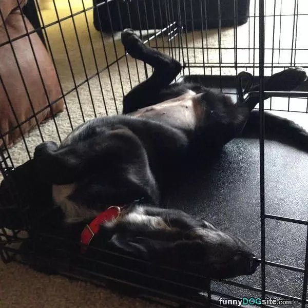 Sleeping Like I Want