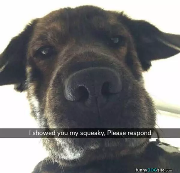 Please Respond