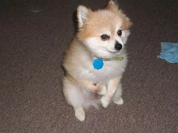 Just Looking Cute