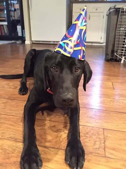Its Mah Birthday