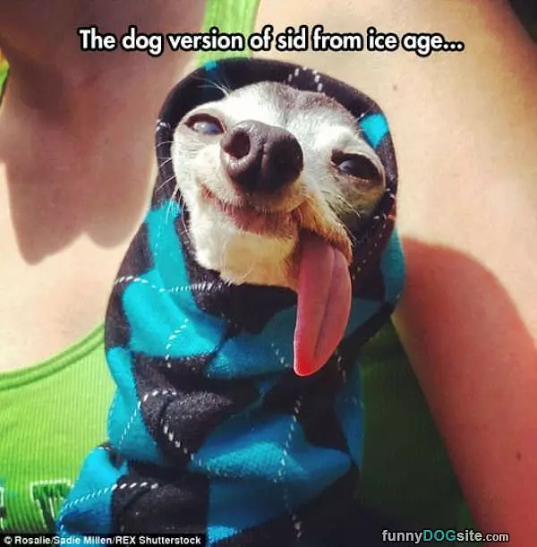 The Dog Version