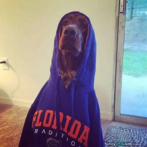All Hooded Up