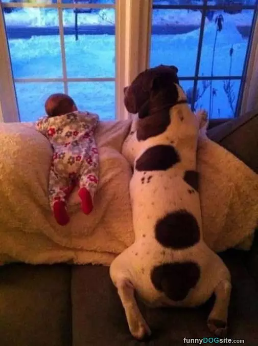Best Little Friends