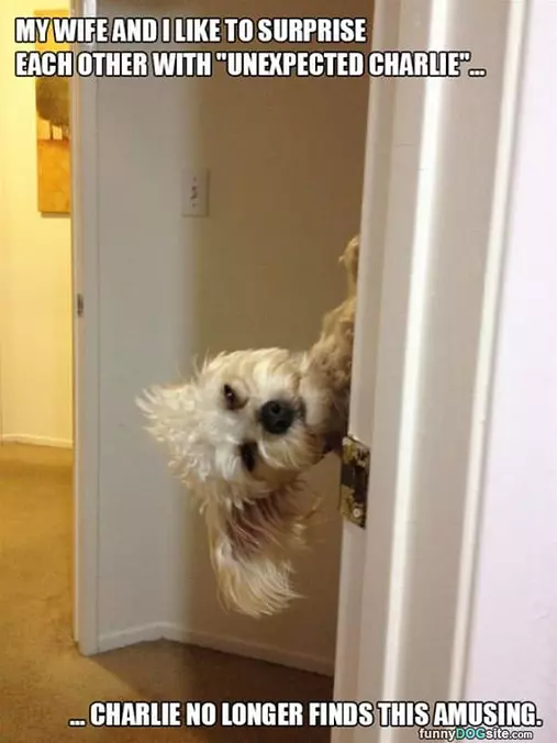 A Surprise Charlie