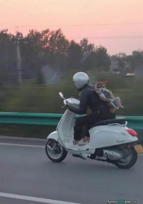 A Very Special Delivery