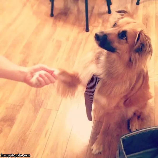 Pleased To Meet You