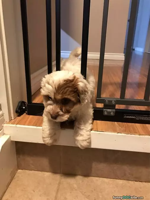 Making A Great Escape