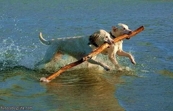 Sharing A Stick