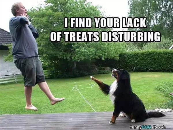 Lack Of Treats