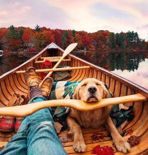 So Relaxed