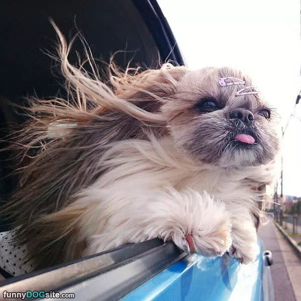 Can You Drive Faster