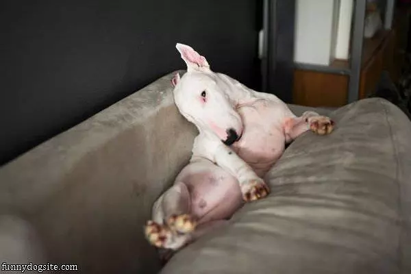 Sleep How I Wants