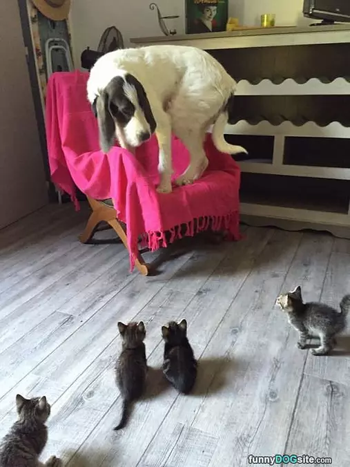 So Scary