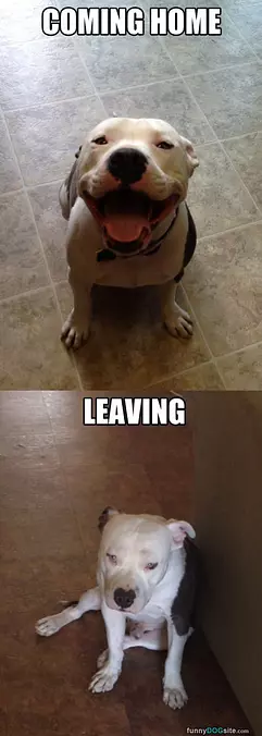 Coming Home Vs Leaving