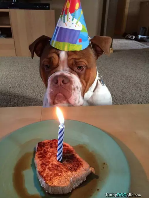I Love My Cake