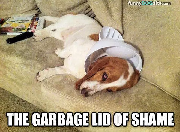 Garbage Of Shame