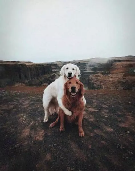 Take A Pic Together