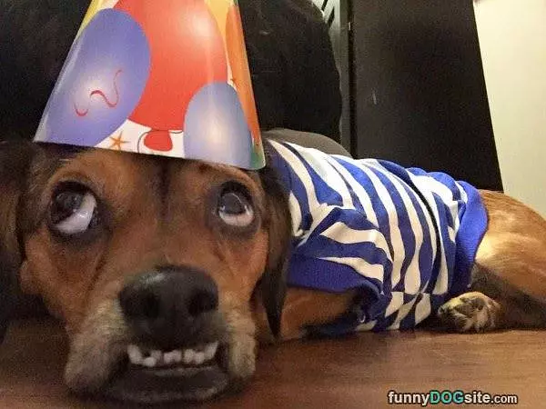 It Areee My Birthday