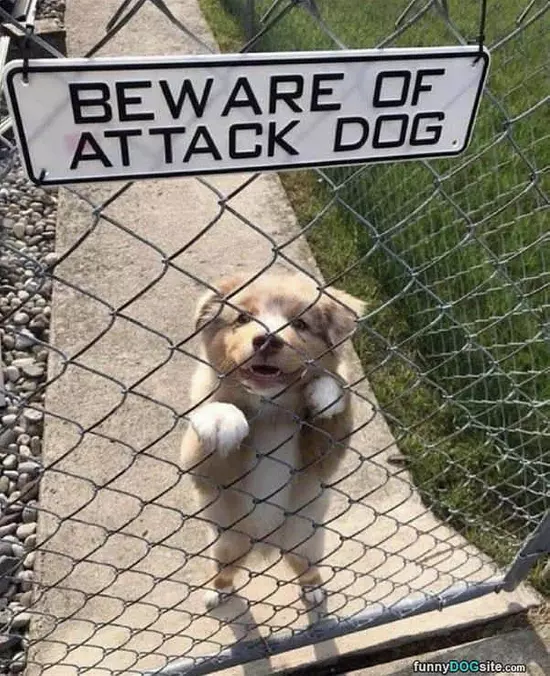 Beware