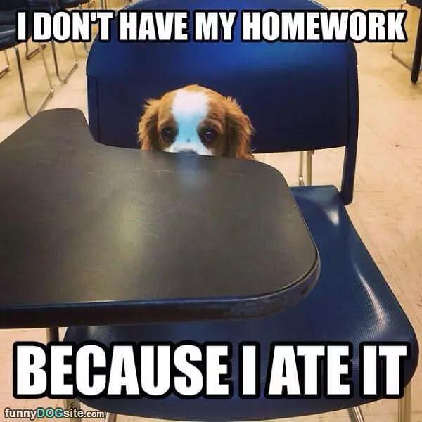 I Dont Have My Homework