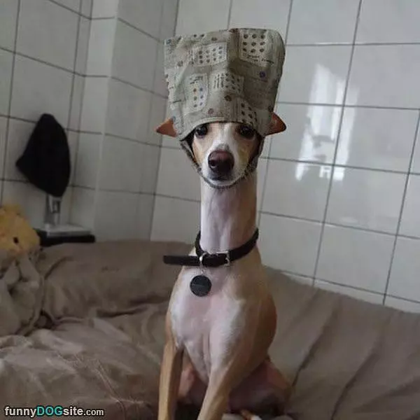 My Funky Hat