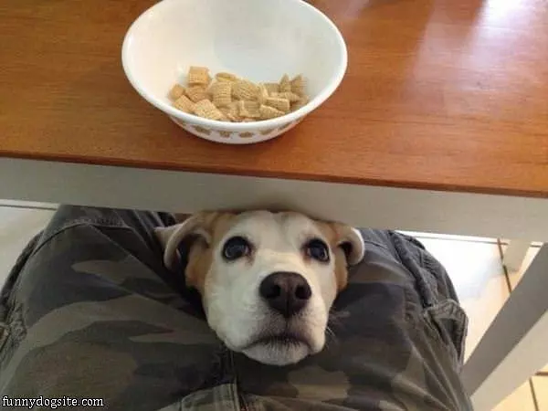 Can I Have One