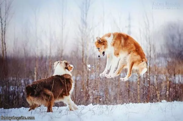 A High Jumper