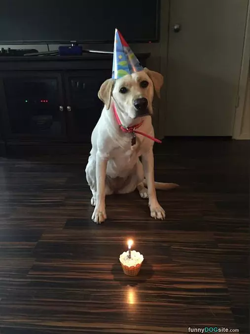 It Is My Birthday