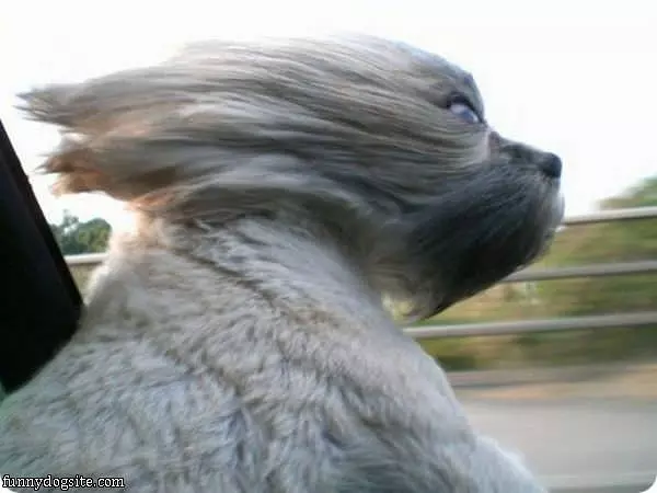 The Windy Ride