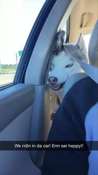 We Are Riding