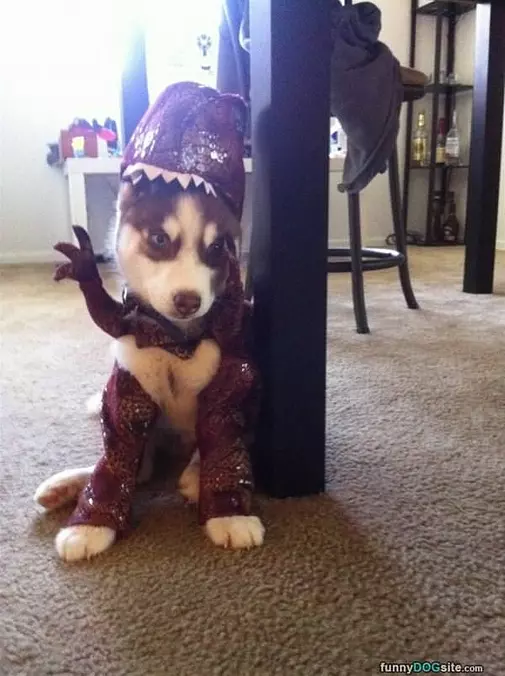 Rawrrrrrr