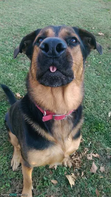 Can I Has A Snack
